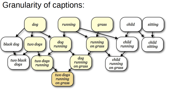 Granularity Problem in Image Captioning