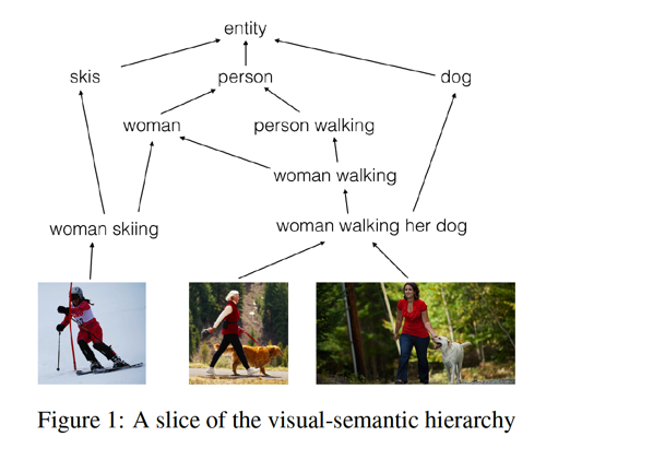 visual-semantic hierarchy